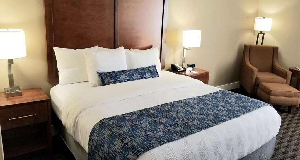Best Western Plus Greenville I-385 Inn & Suites Habitación foto