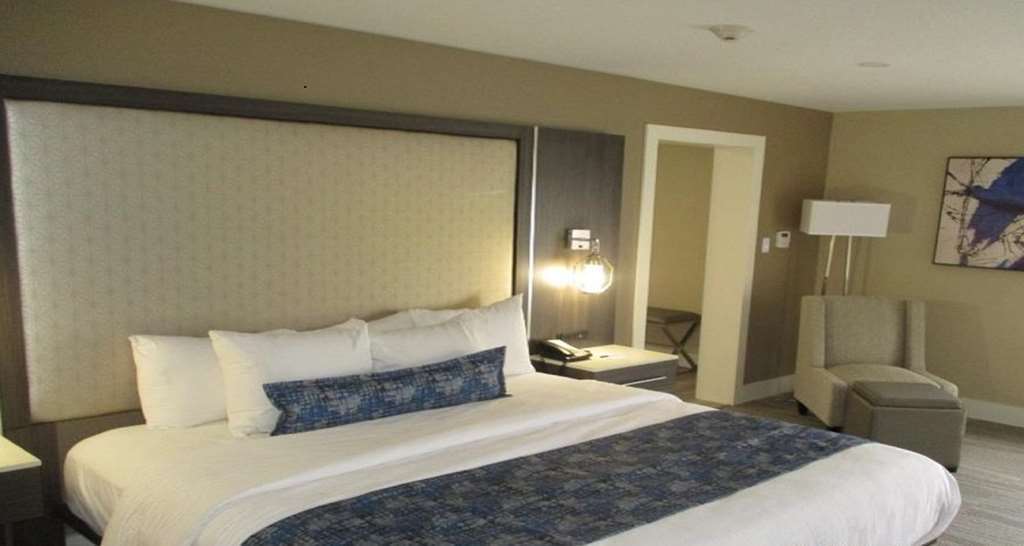 Best Western Plus Greenville I-385 Inn & Suites Habitación foto